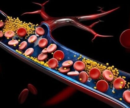 Cholesterol là gì? Các loại cholesterol và công thức cấu tạo