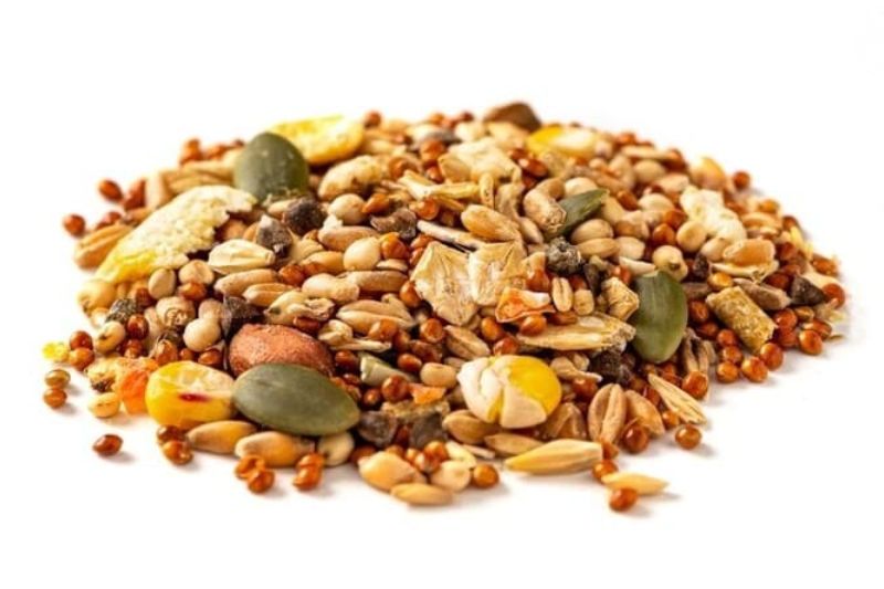 Rối loạn lipid máu nên ăn gì, kiêng gì để nhanh chóng phục hồi?