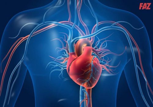 18 nguyên nhân bệnh tim mạch và các yếu tố nguy cơ thường gặp