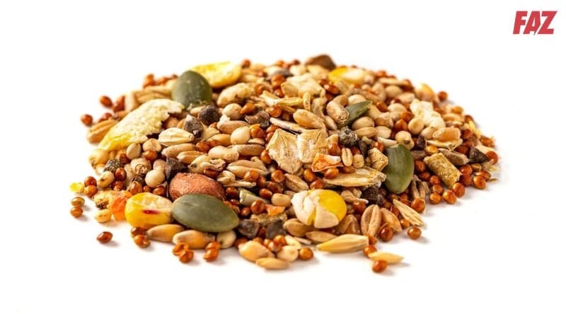 Rối loạn lipid máu nên ăn gì, kiêng gì để nhanh chóng phục hồi?