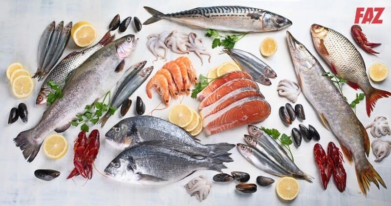 20 thực phẩm giàu cholesterol: nên ăn gì và tránh gì?