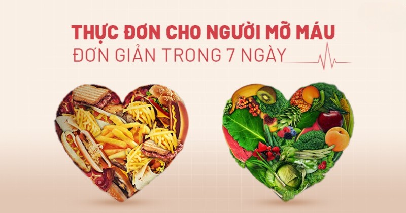 Thực đơn cho người mỡ máu trong 1 tuần: Lên menu hàng ngày A-Z