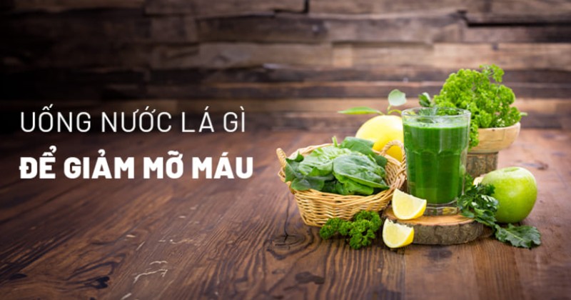 uống nước lá gì để giảm mỡ máu