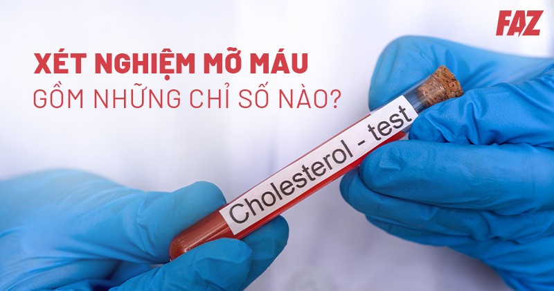 Xét nghiệm mỡ máu là gì? Gồm những chỉ số nào? Ý nghĩa ra sao?