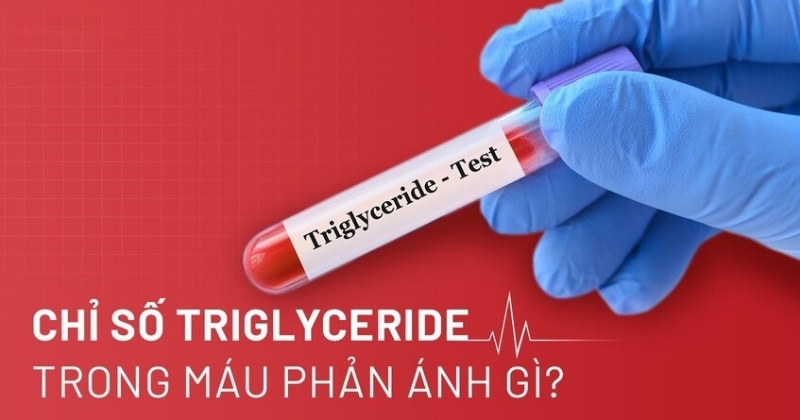 chỉ số triglyceride