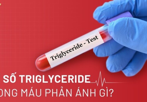 Chỉ số triglyceride trong máu là gì? Các loại, ảnh hưởng và rủi ro