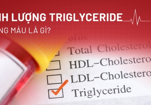 Định lượng Triglyceride trong máu là gì? Vai trò và ý nghĩa gì?