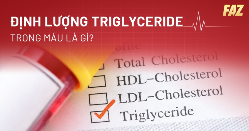 Định lượng Triglyceride trong máu là gì? Vai trò và ý nghĩa gì?