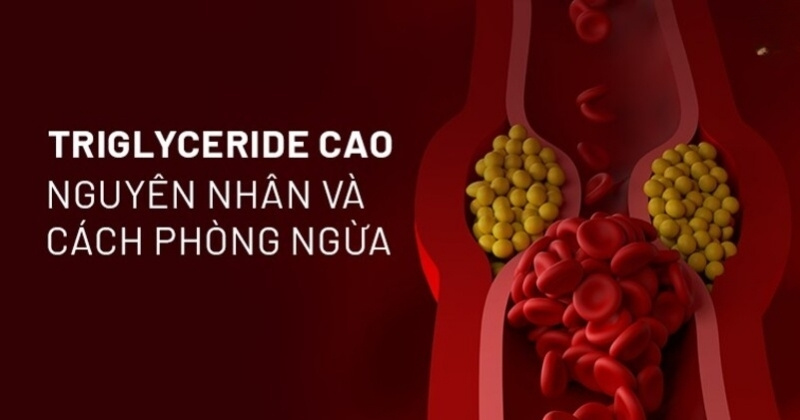 triglyceride cao