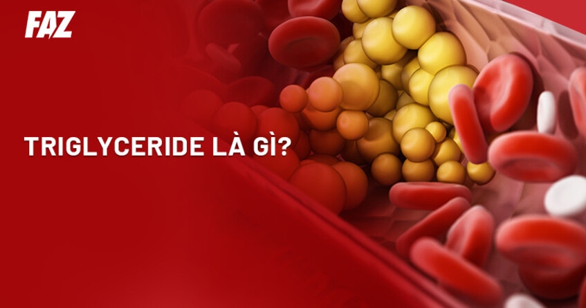 Triglyceride là gì? Chức năng, các loại và biến chứng nếu tăng cao