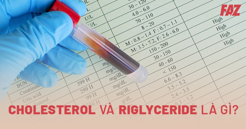 Chỉ số Cholesterol và Triglyceride trong máu: Vai trò và sự khác biệt