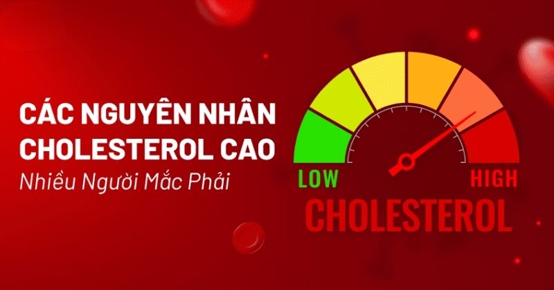 9 nguyên nhân cholesterol cao phổ biến và đối tượng dễ mắc phải