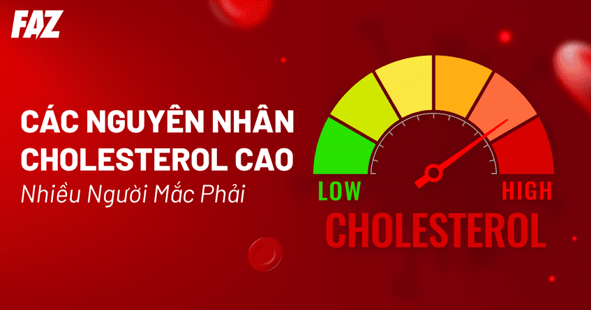 9 nguyên nhân cholesterol cao phổ biến và đối tượng dễ mắc phải