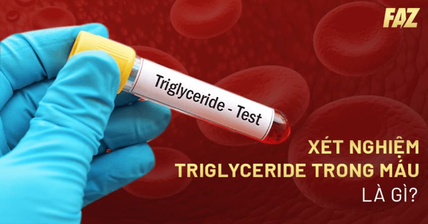Xét nghiệm Triglyceride trong máu là gì? Ý nghĩa và các kết quả