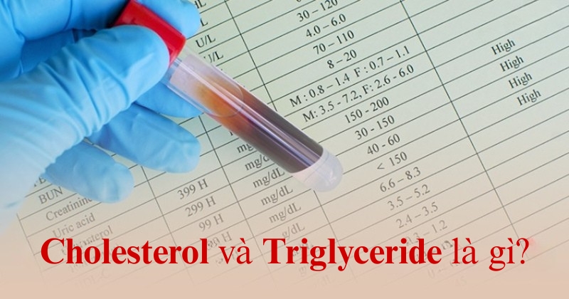 Chỉ số Cholesterol và Triglyceride trong máu: Vai trò và sự khác biệt
