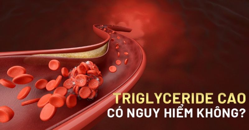 Triglyceride cao có nguy hiểm không? Chỉ số định lượng cần lưu ý
