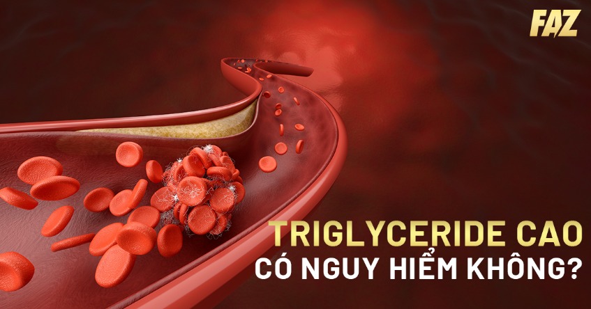 Triglyceride cao có nguy hiểm không? Chỉ số định lượng cần lưu ý