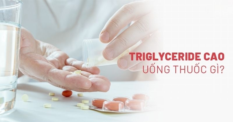 Chỉ số Triglyceride cao uống thuốc gì? 5 loại thuốc tác dụng hiệu quả