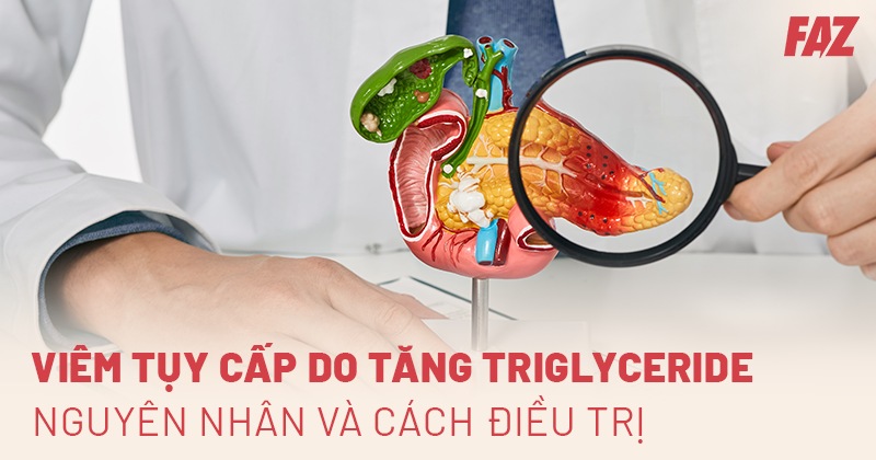 Viêm tụy cấp do tăng Triglyceride: Nguyên nhân và cách điều trị