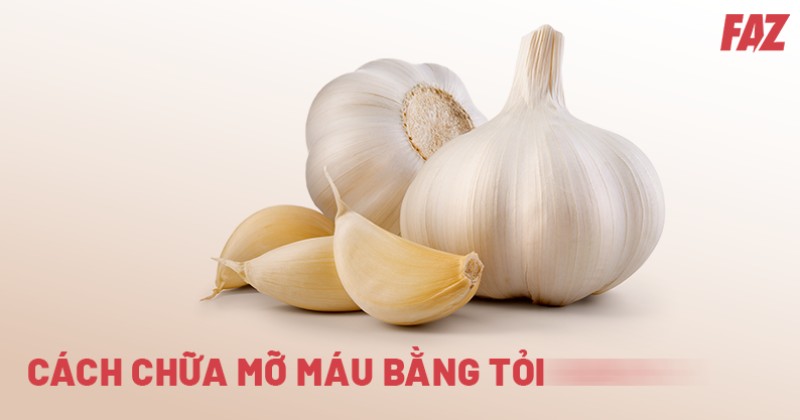 8 cách chữa mỡ máu bằng tỏi hiệu quả được chuyên gia gợi ý