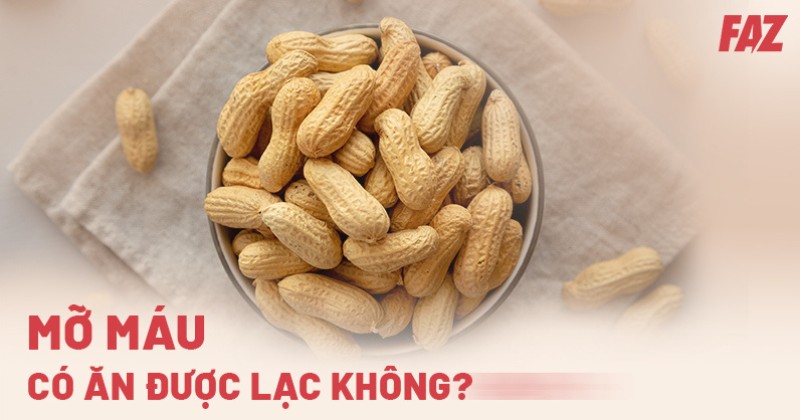 Mỡ máu có ăn được lạc không? Cách dùng và lưu ý cần biết