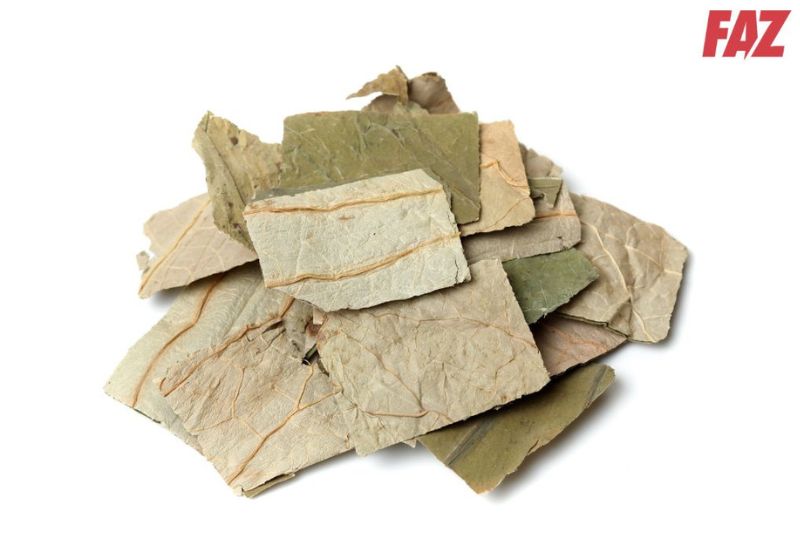lá sen chỉ hỗ trợ giảm mỡ máu