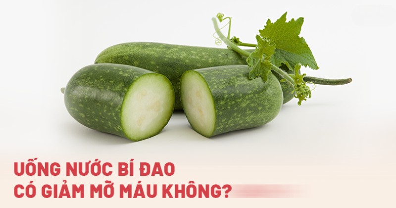 Uống nước bí đao có giảm mỡ máu không? 5 cách dùng đơn giản