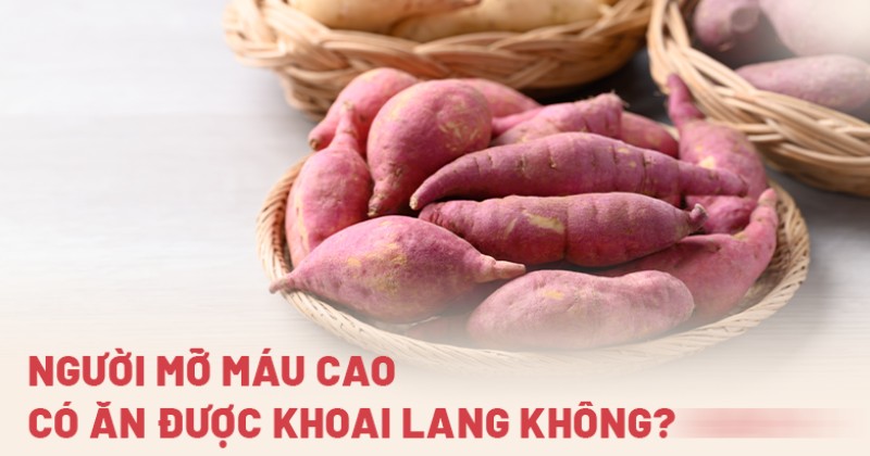 Mỡ máu cao ăn khoai lang được không? Ăn với lượng bao nhiêu?