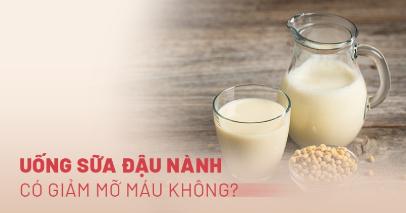 uống sữa đậu nành có giảm mỡ máu không
