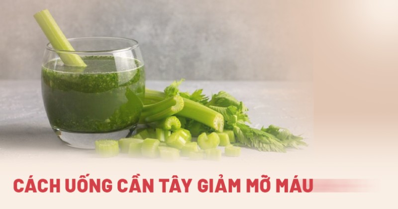 7 cách dùng cần tây giảm mỡ máu nhanh bằng đường ăn, nước ép