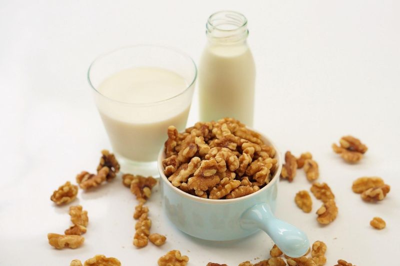 sữa hạt óc chó phù hợp cho người mỡ máu