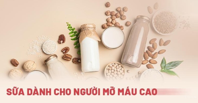 Top 15 loại sữa dành cho người mỡ máu cao tốt cho sức khỏe