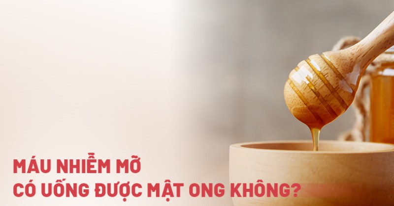 Máu nhiễm mỡ có uống được mật ong không? Cần lưu ý những gì?