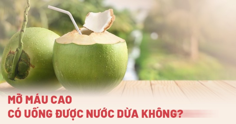 Mỡ máu cao có uống được nước dừa không? Nguyên tắc khi uống