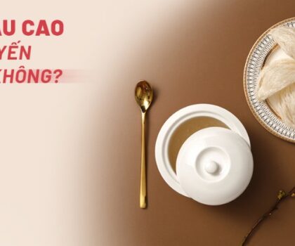 Thắc mắc: Mỡ máu cao có ăn yến được không?