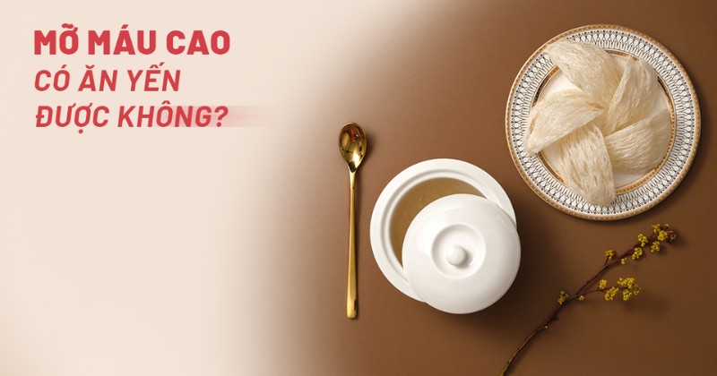 Thắc mắc: Mỡ máu cao có ăn yến được không?