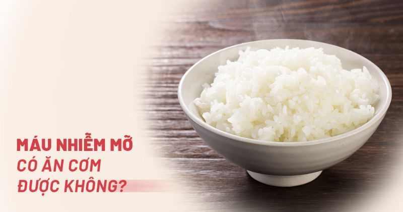 máu nhiễm mỡ có ăn cơm được không