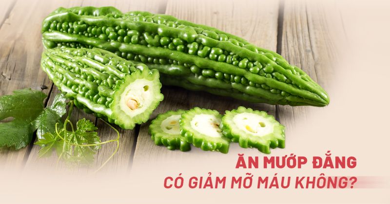 Ăn mướp đắng có giảm mỡ máu không? Khổ qua thì sao?