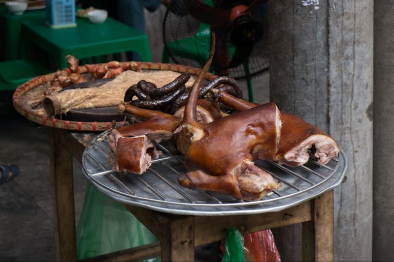 thịt chó giàu chất dinh dưỡng