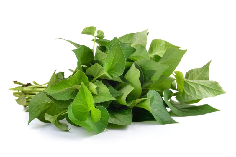 rau diếp cá tươi sống