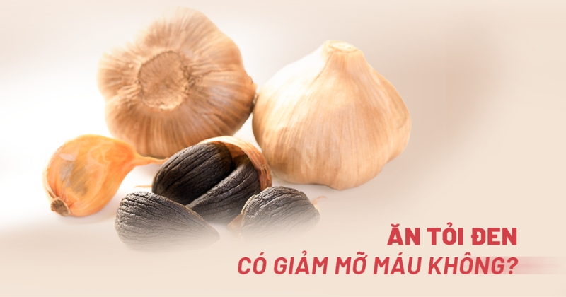 tỏi đen giảm mỡ máu