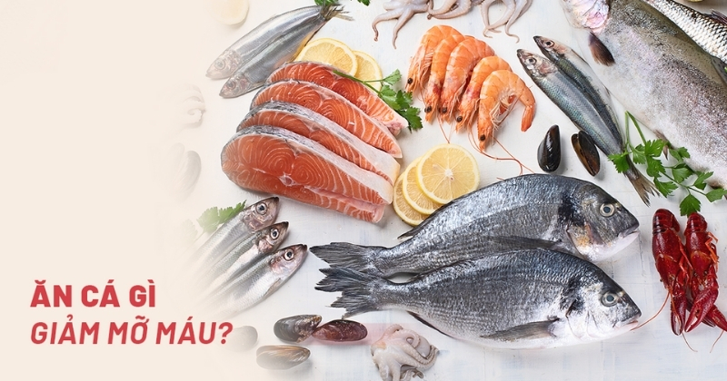 mỡ máu cao nên ăn cá gì